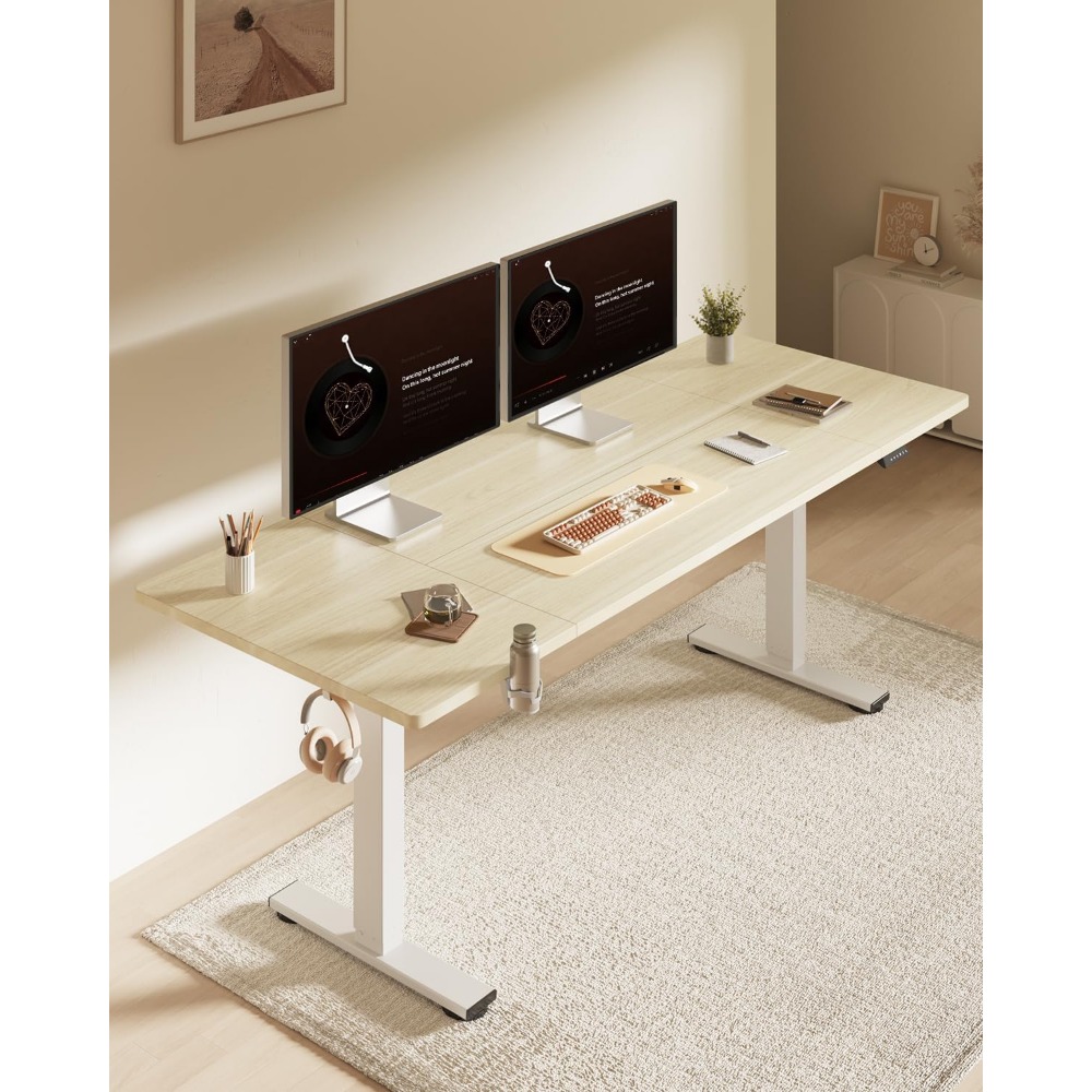 FLEXISPOT 63x32 Zoll elektrisc – Desk Setup For Office Bewertung und Preis